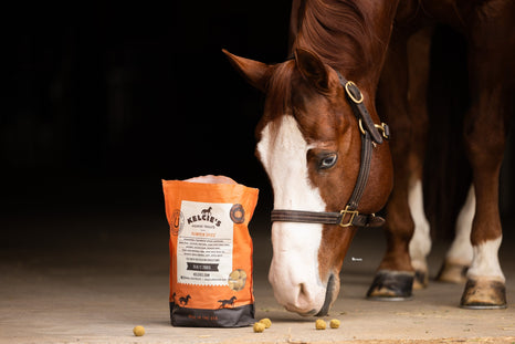 The Horse Treat Makeover - How Kelcie's Changed the Game