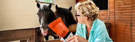 Unbridled Sanctuary