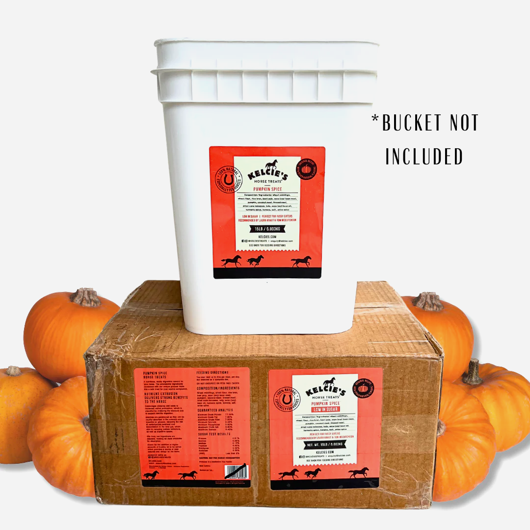 Pumpkin Spice - 15lb Refill