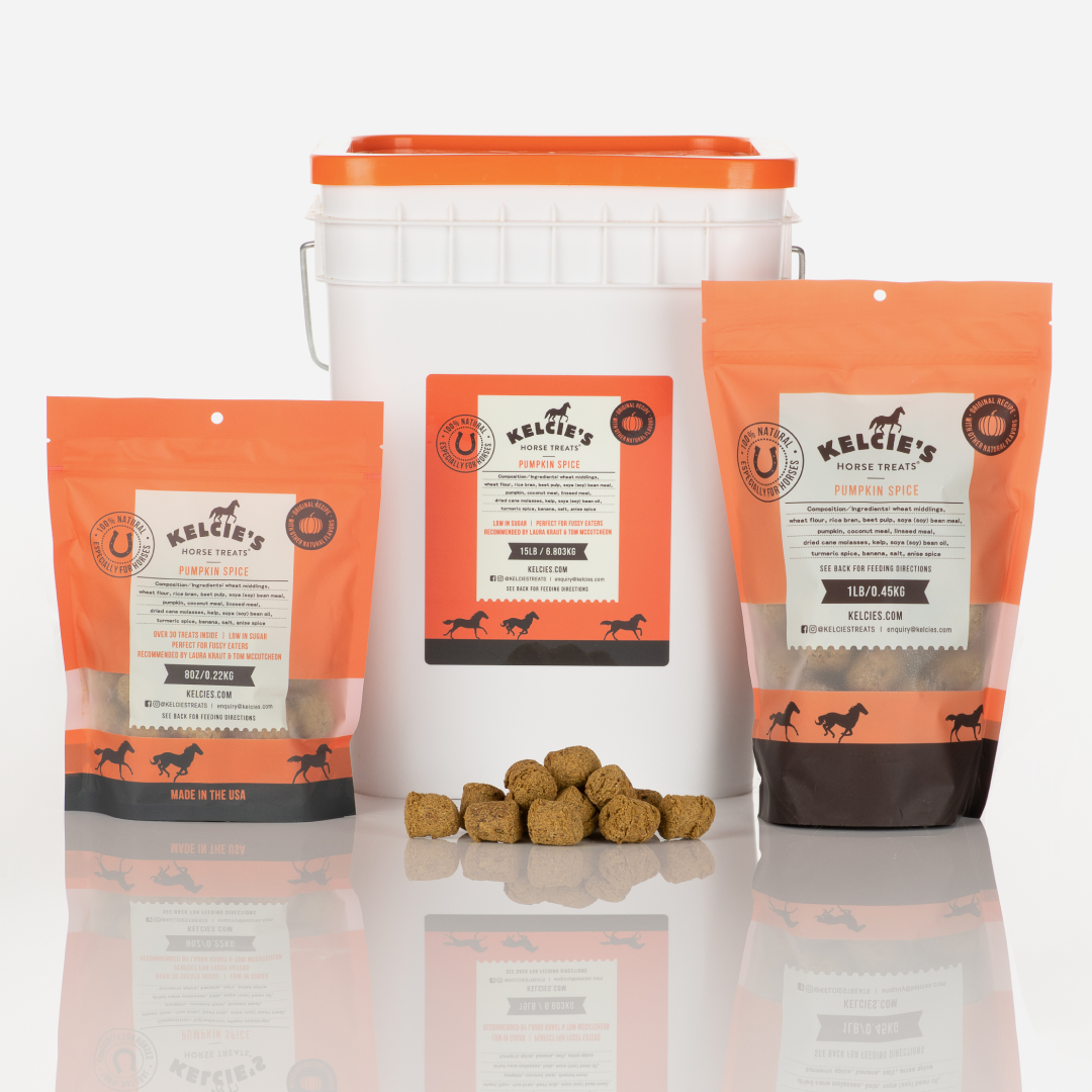 Kelcie’s Pumpkin Spice Horse Treats