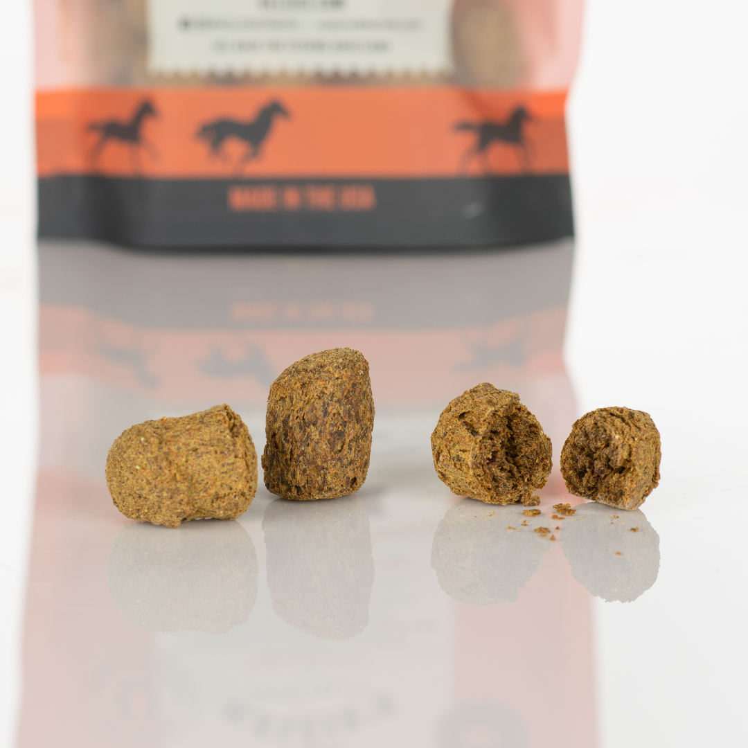 Kelcie’s Pumpkin Spice Horse Treats